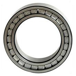 ��������� �������������� ��������� NUP 205 E